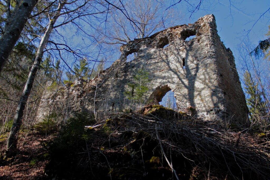 Burg Neu-Tannegg: A Ruined Medieval Castle Above the Wutach Gorge 1 Burg Neu-Tannegg