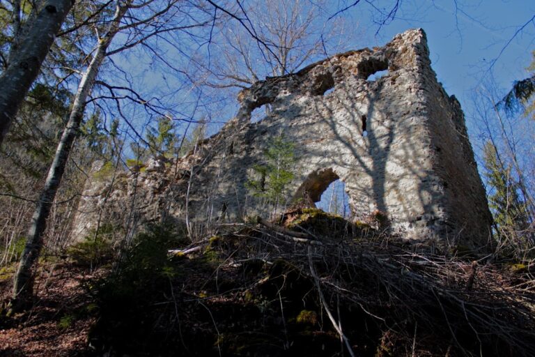 Burg Neu-Tannegg: A Ruined Medieval Castle Above the Wutach Gorge