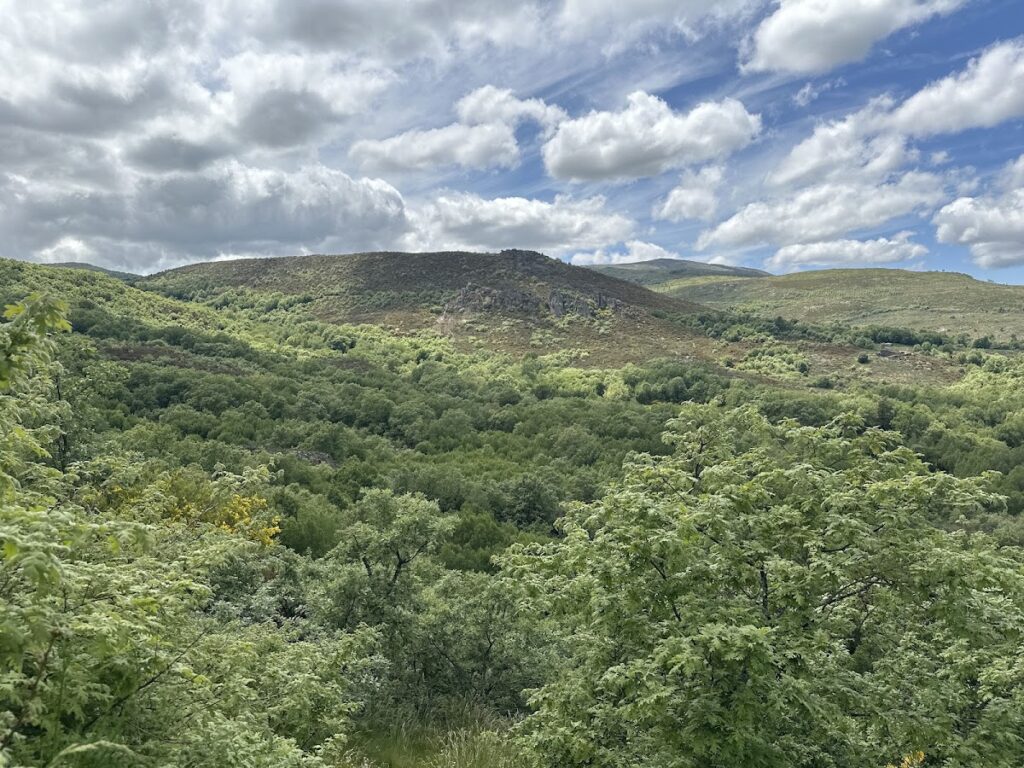 Picoña Castle: A Portuguese Medieval Border Fortification in Spain 2 Picoña Castle