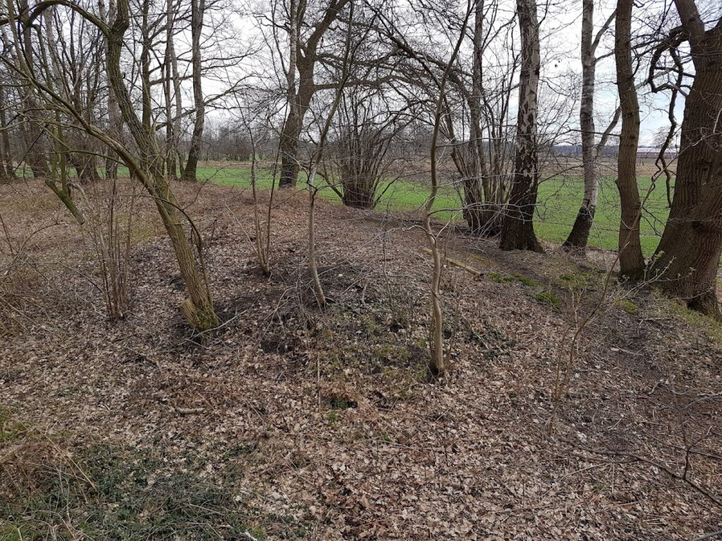 Jansburg: An Early Medieval Earthwork Fortification in Germany 1 Jansburg
