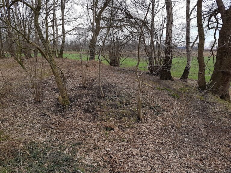 Jansburg: An Early Medieval Earthwork Fortification in Germany