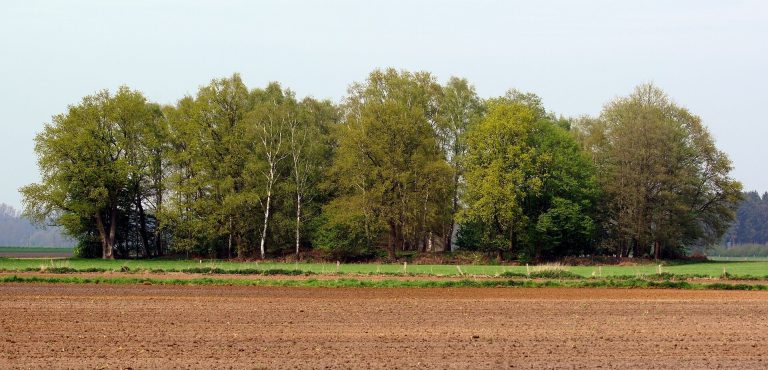 Jansburg: An Early Medieval Earthwork Fortification in Germany
