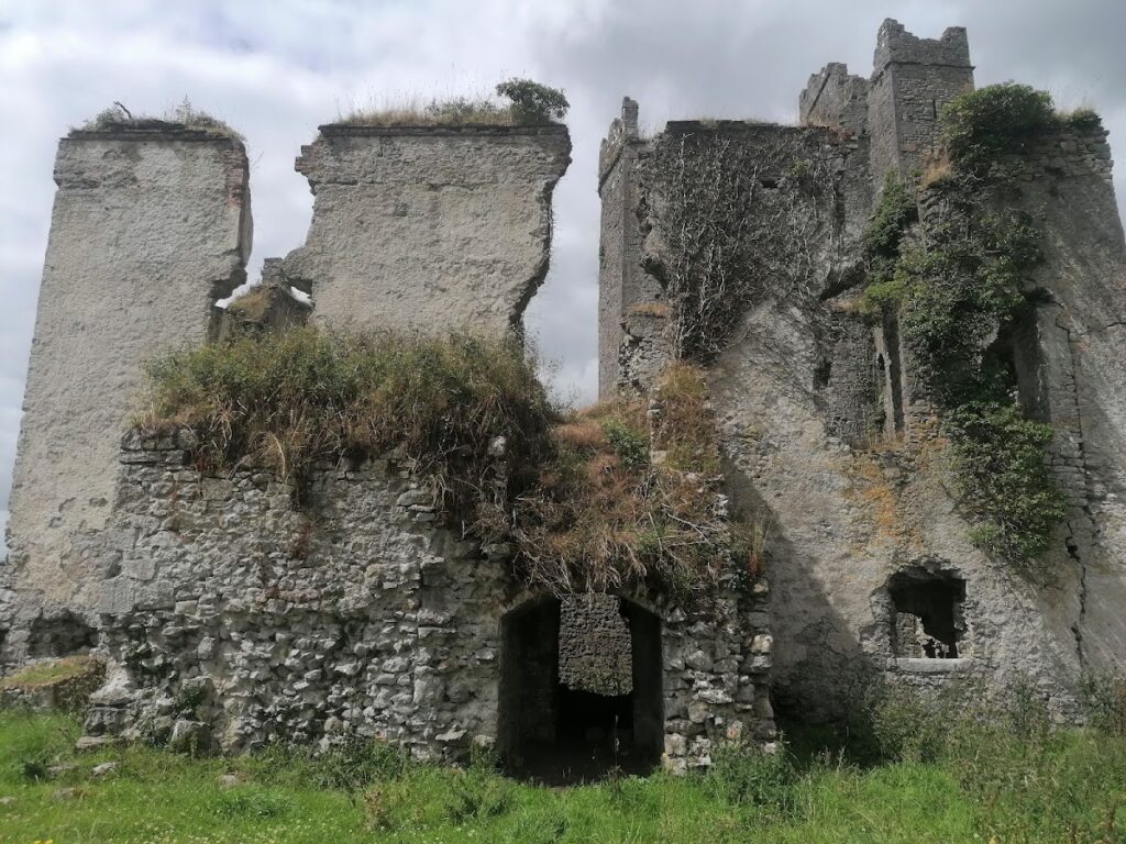 Ballyadams Castle: A Fifteenth-Century Tower Castle in Ireland 2 Ballyadams Castle
