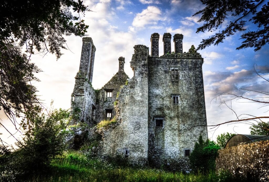 Ballycowan Castle: A Sixteenth-Century Fortified House in Ireland 1 Ballycowan Castle