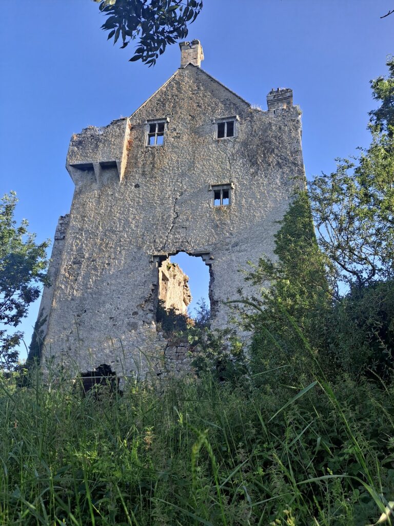 Ballycowan Castle: A Sixteenth-Century Fortified House in Ireland 2 Ballycowan Castle