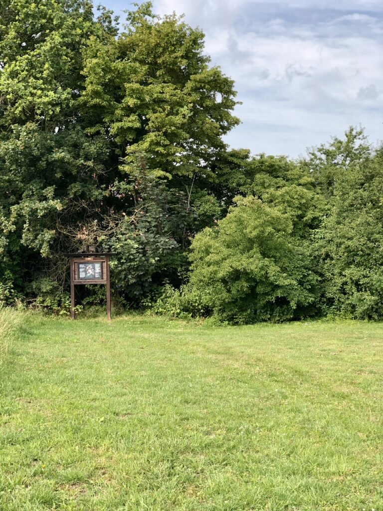 Haus Rath: A Medieval Motte Castle in Krefeld, Germany