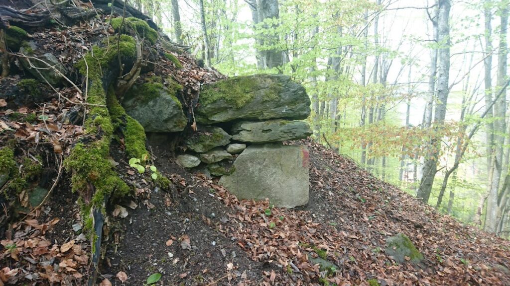Aegerten Castle Ruins: A Medieval Hill Castle in Switzerland 2 castle ruins Aegerten