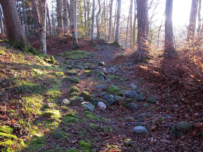 Aegerten Castle Ruins: A Medieval Hill Castle in Switzerland