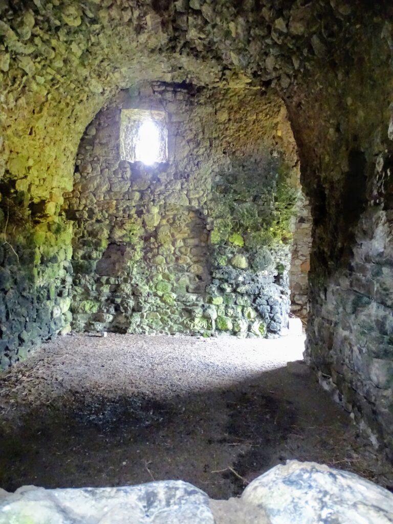 Donore Castle: A Fifteenth-Century Tower House in County Meath 2 Donore Castle