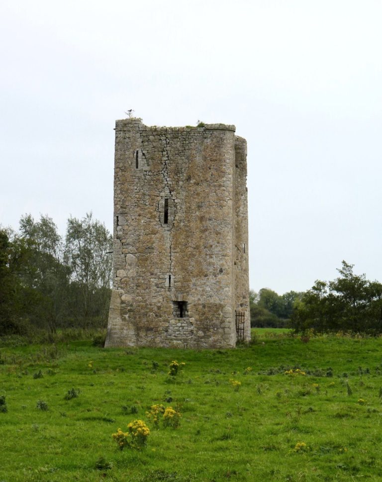 Donore Castle: A Fifteenth-Century Tower House in County Meath