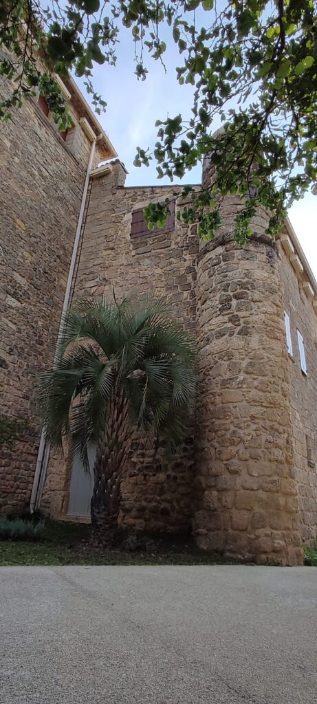 Château de Bélarga: A Fortified Castle and River Crossing in France 2 Château de Bélarga