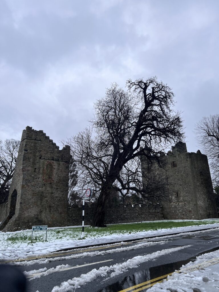 Monkstown Castle