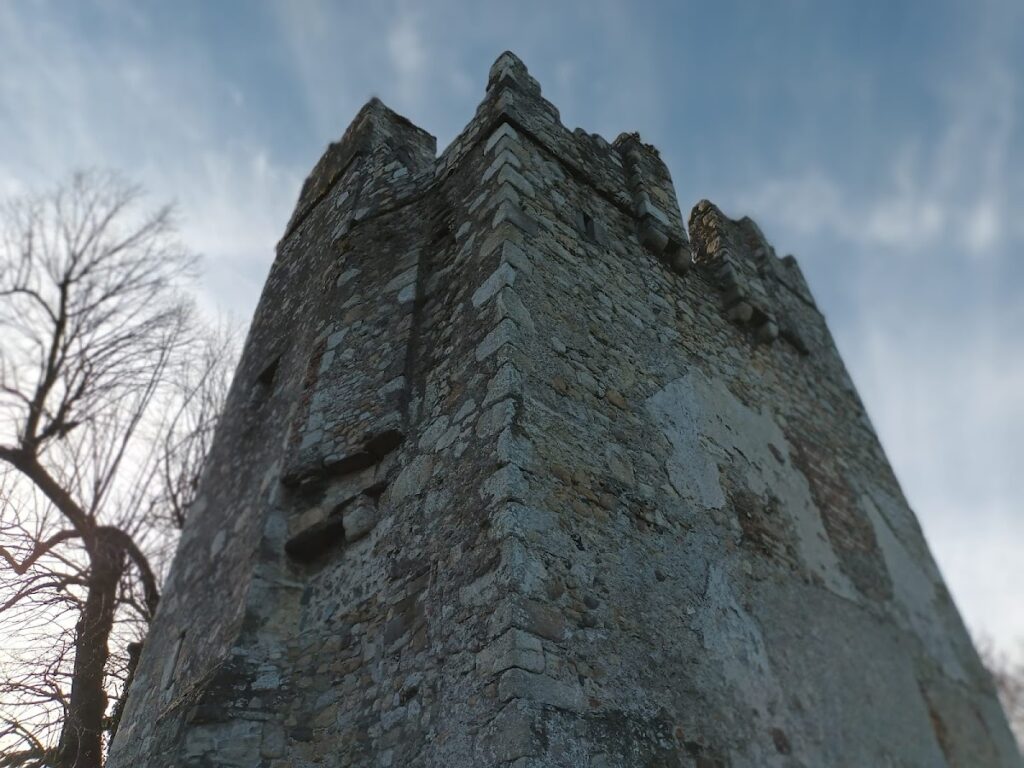 Monkstown Castle