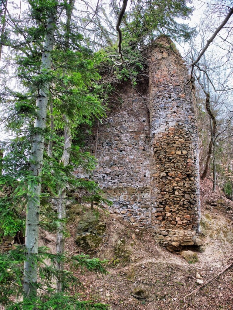 Ruine Schmirnberg: A Hilltop Castle Ruin in Austria