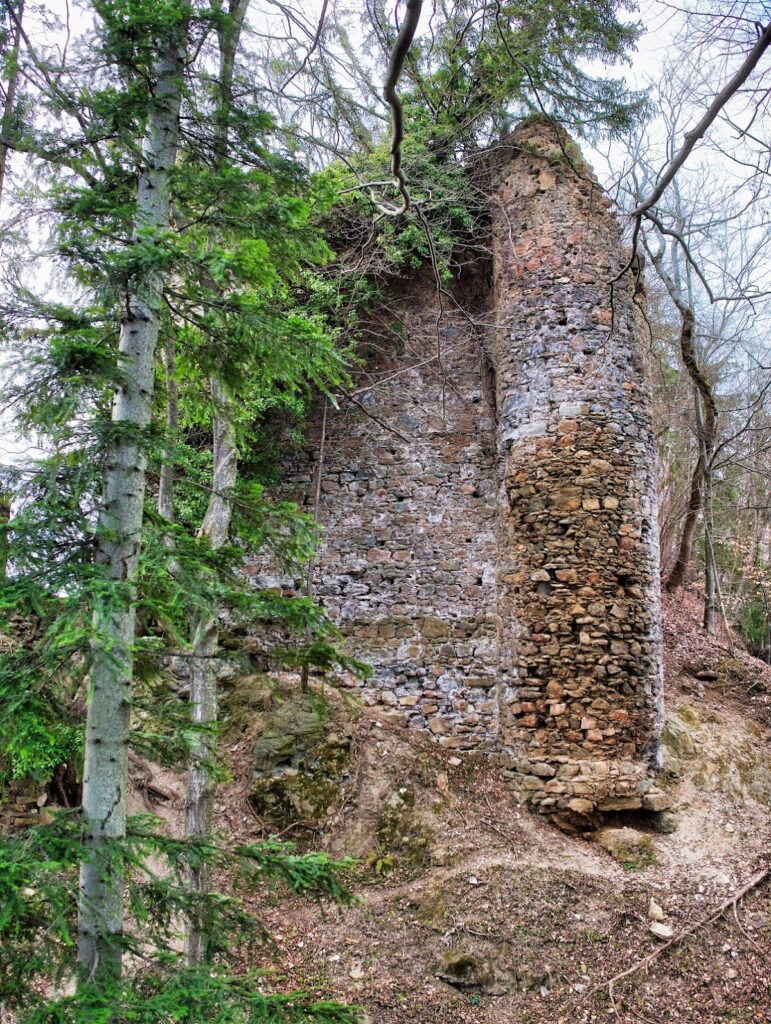 Ruine Schmirnberg: A Hilltop Castle Ruin in Austria 1 Ruine Schmirnberg