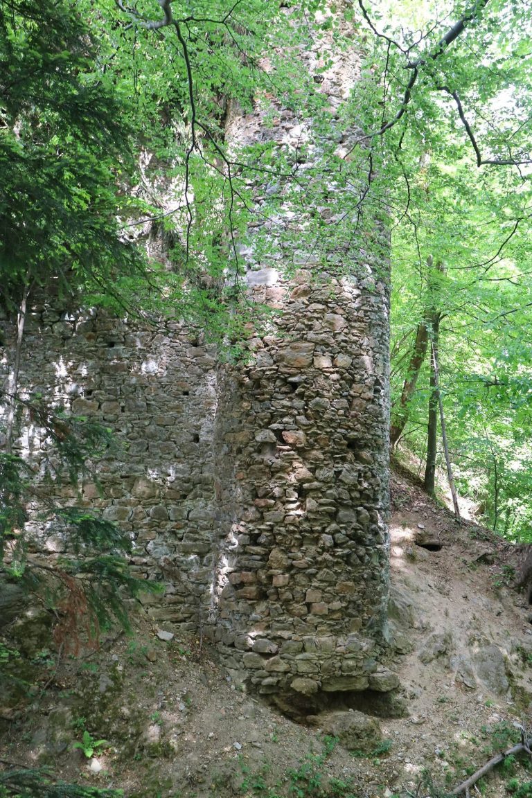 Ruine Schmirnberg: A Hilltop Castle Ruin in Austria