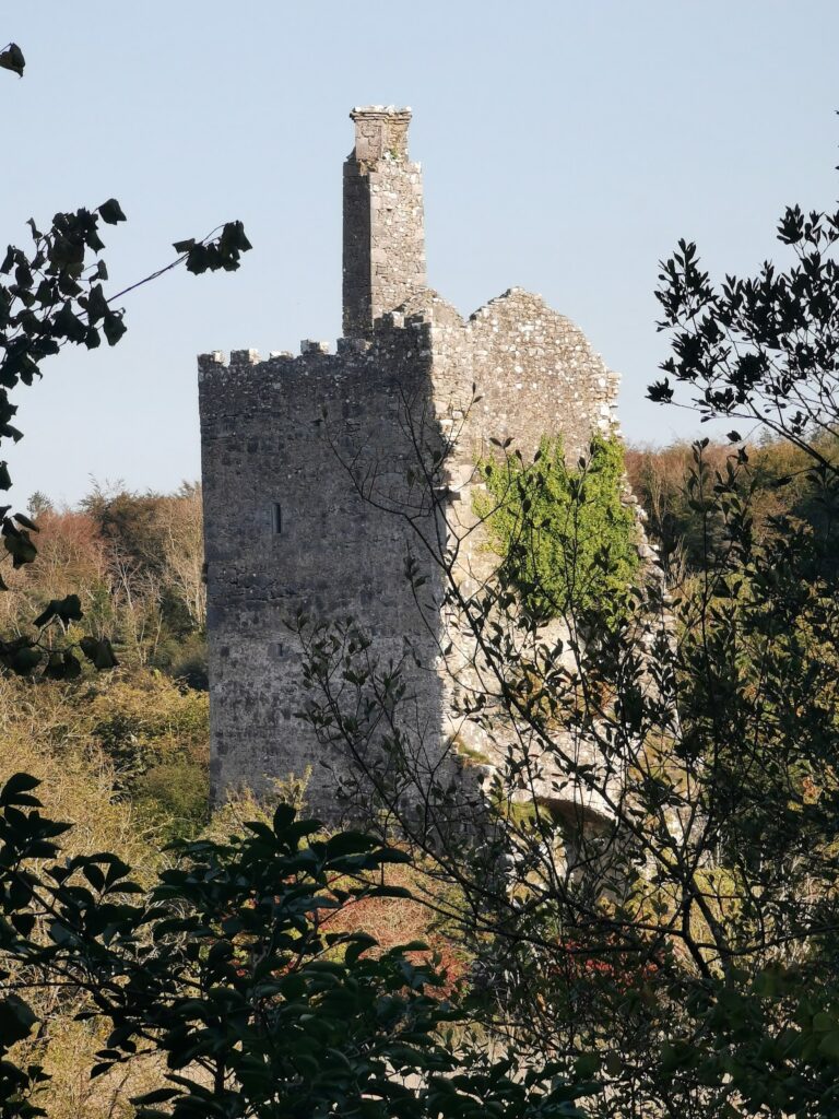 Dromore Castle: A Ruined Irish Tower House in County Clare 2 Dromore Castle