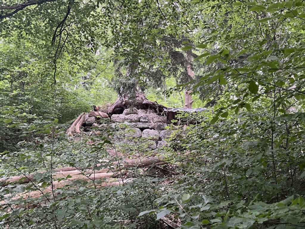 Burg Ettensberg