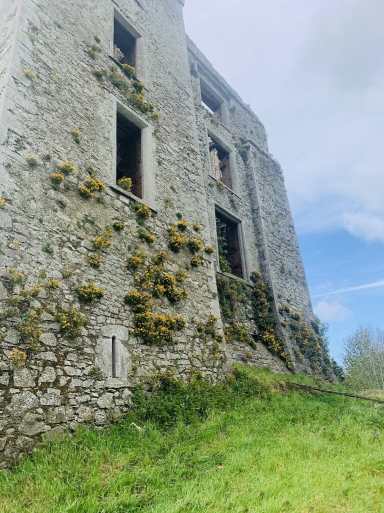 Athcarne Castle: A Ruined Elizabethan Castle in County Meath 2 Athcarne Castle