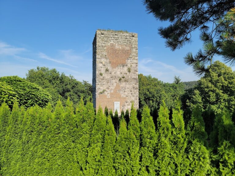Burgruine Niederviehhausen: A Medieval Hilltop Castle Ruin in Germany