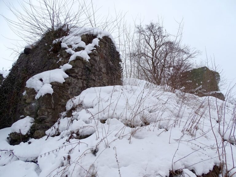 Oberburg Driedorf: A Medieval Castle Ruin in Germany