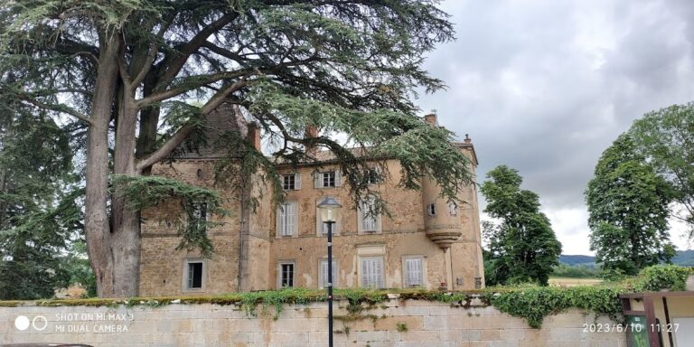 Château de Tramayes: A Historic Fortified Residence in France