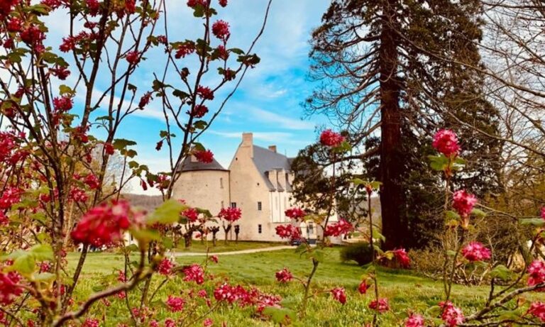 Château du Chambon: A Renaissance Château in France
