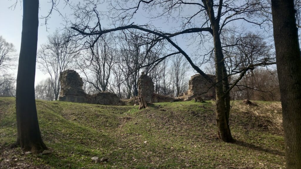 Ruda Śląska Castle: A Medieval Castle and Neo-Gothic Palace 2 Zamek w Rudzie Śląskiej