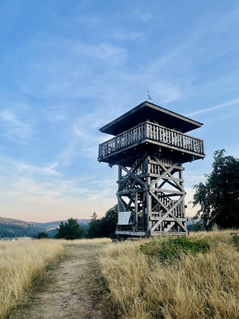 Schwalenburg: An Early Medieval Hilltop Fortification in Germany