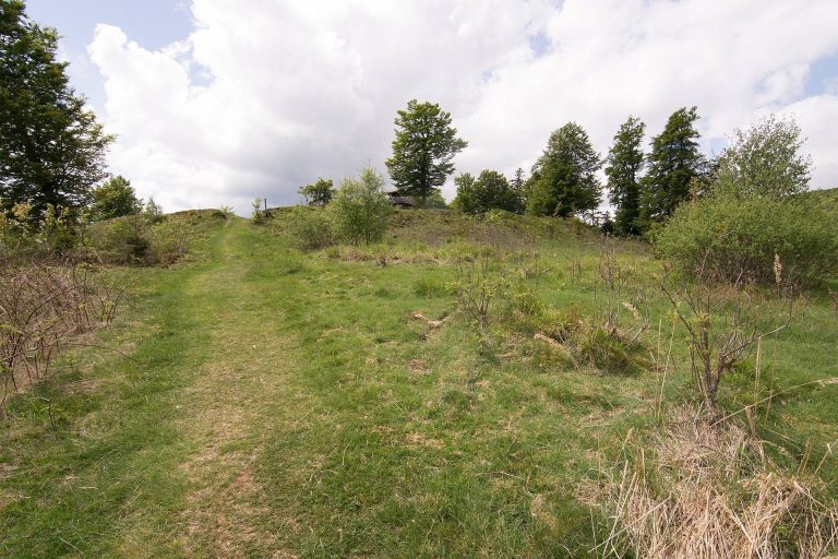 Schwalenburg: An Early Medieval Hilltop Fortification in Germany
