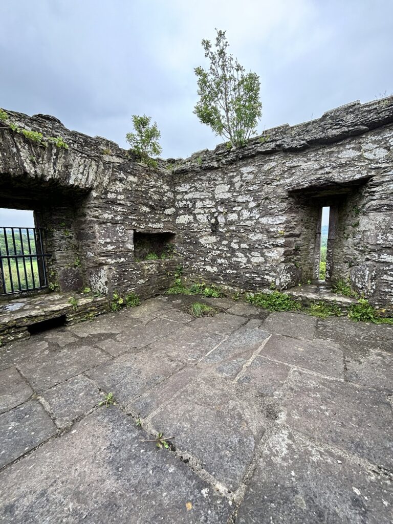 Carrigaphooca Castle