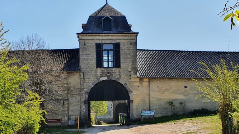 Castle Lichtenberg: A Medieval Castle Ruin in the Netherlands