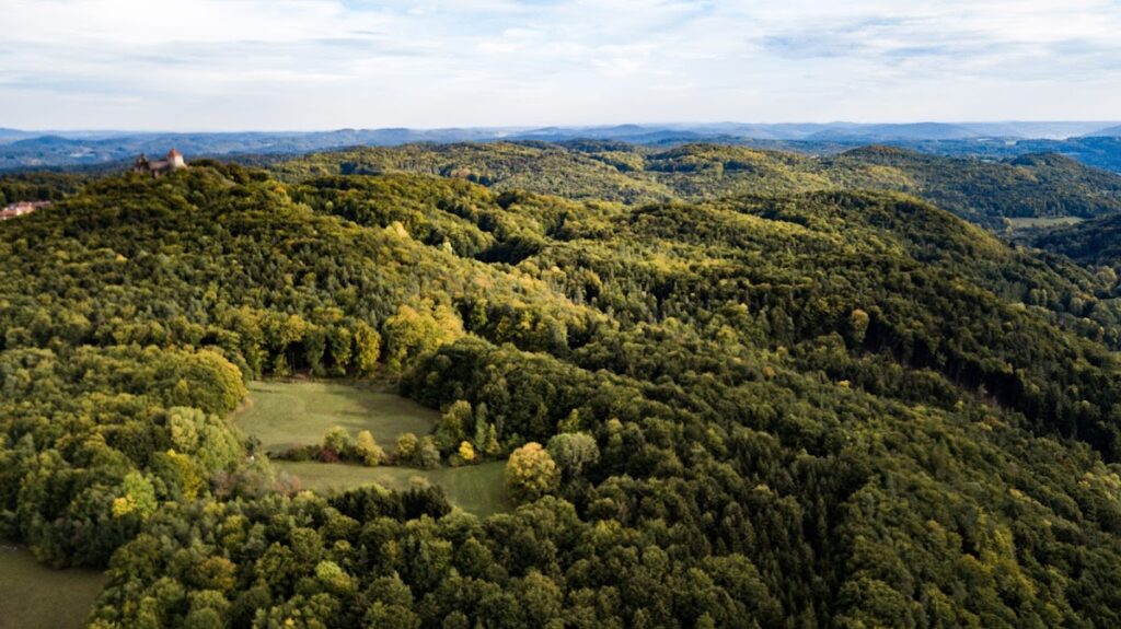 Hohenstein Castle Ruins: A Medieval Fortress in Germany 4 Burgruine Hohenstein