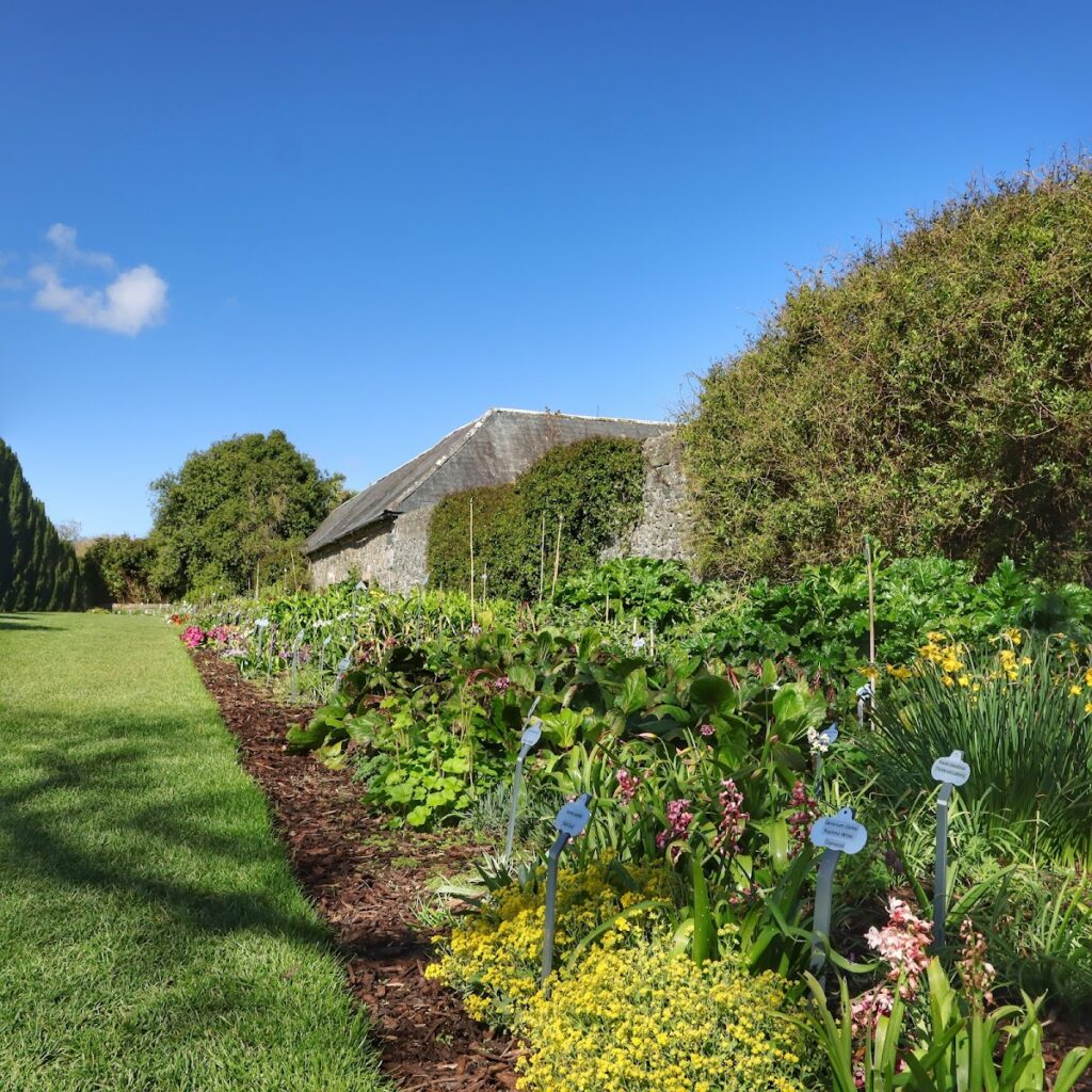 Ardgillan Castle: A Georgian and Gothic Revival Country House in Ireland 4 Ardgillan Castle