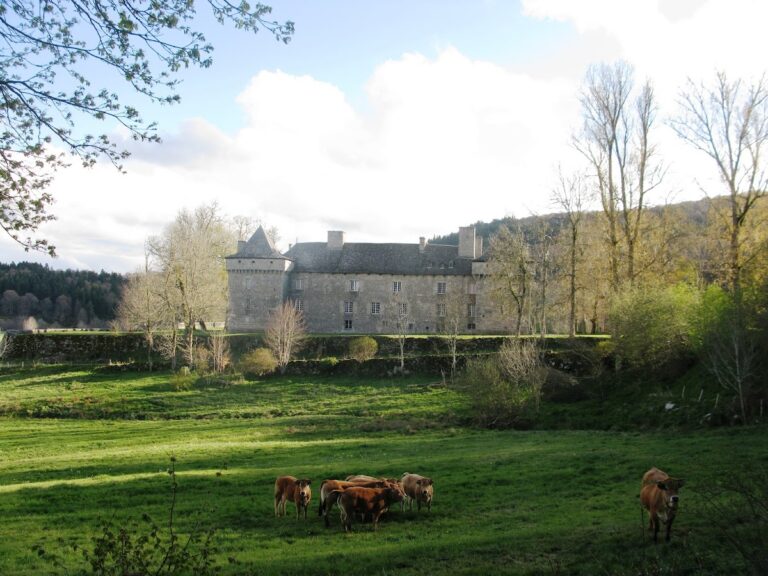 Château de la Baume: A Historic Residence in France