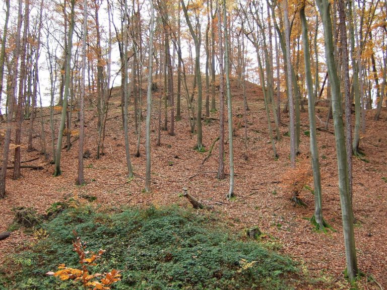 Randenburg: A Medieval Spur Castle in Germany