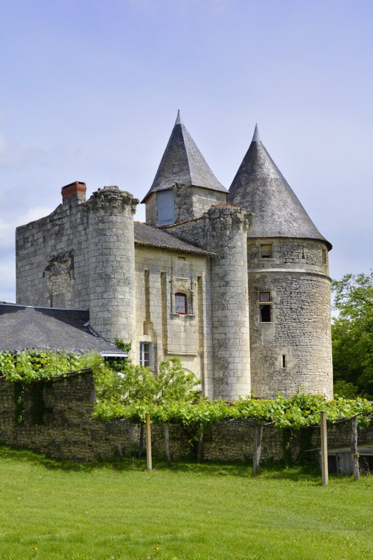 Château du Chillou: A Medieval Feudal Castle in France