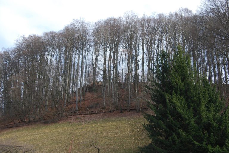 Grünenberg Castle Ruin: Ancestral Seat of the Barons of Grünenberg