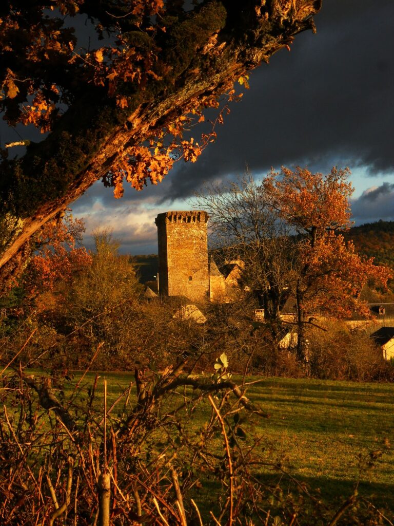 Château de Tholet: A Medieval Fortress and Renaissance Manor in France 2 Château de Tholet