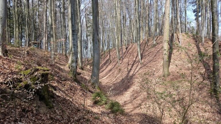 Haldenburg: An Early Medieval Hungarian-Defense Fortress in Germany