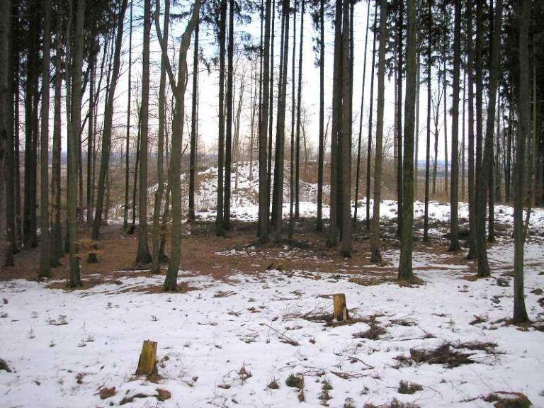 Haldenburg: An Early Medieval Hungarian-Defense Fortress in Germany