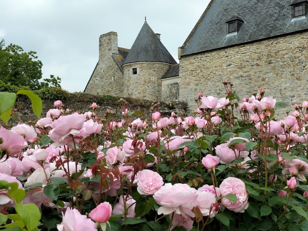 Montfort Castle: A Former Fortified Residence in France 1 Château de Montfort