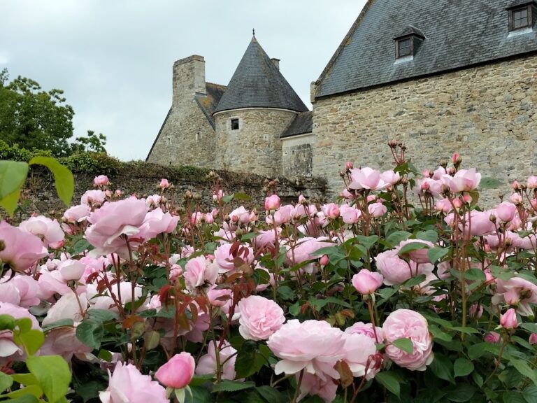 Montfort Castle: A Former Fortified Residence in France