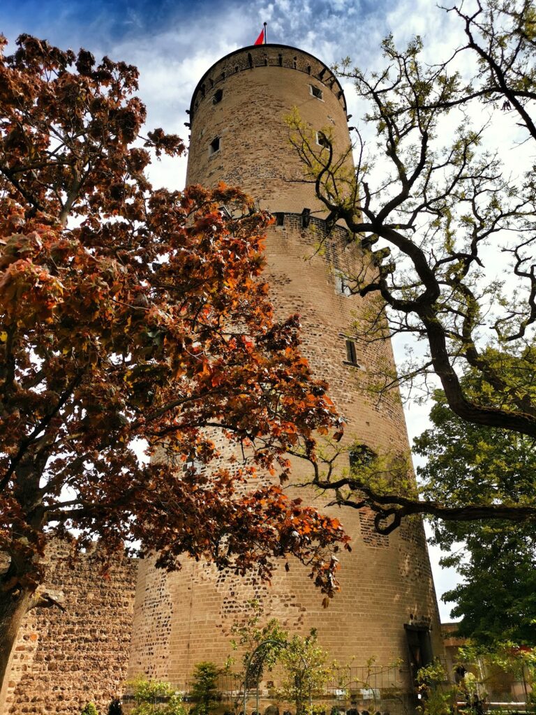 Godesburg: A Medieval Electoral Castle in Bonn, Germany