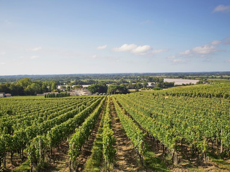 Château de la Dauphine: An Eighteenth-Century Bordeaux Wine Estate