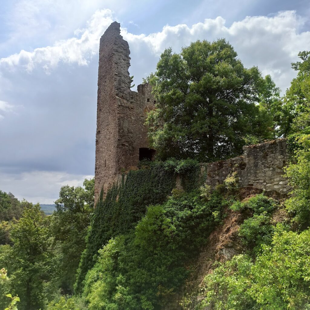 Altenbaumburg: Ancestral Castle of the Raugrafen in Germany 1 Altenbaumburg