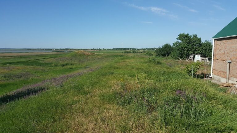 Semyonovsky Fortress: A late 17th-century Tsardom of Moscow river strongpoint on the Mius