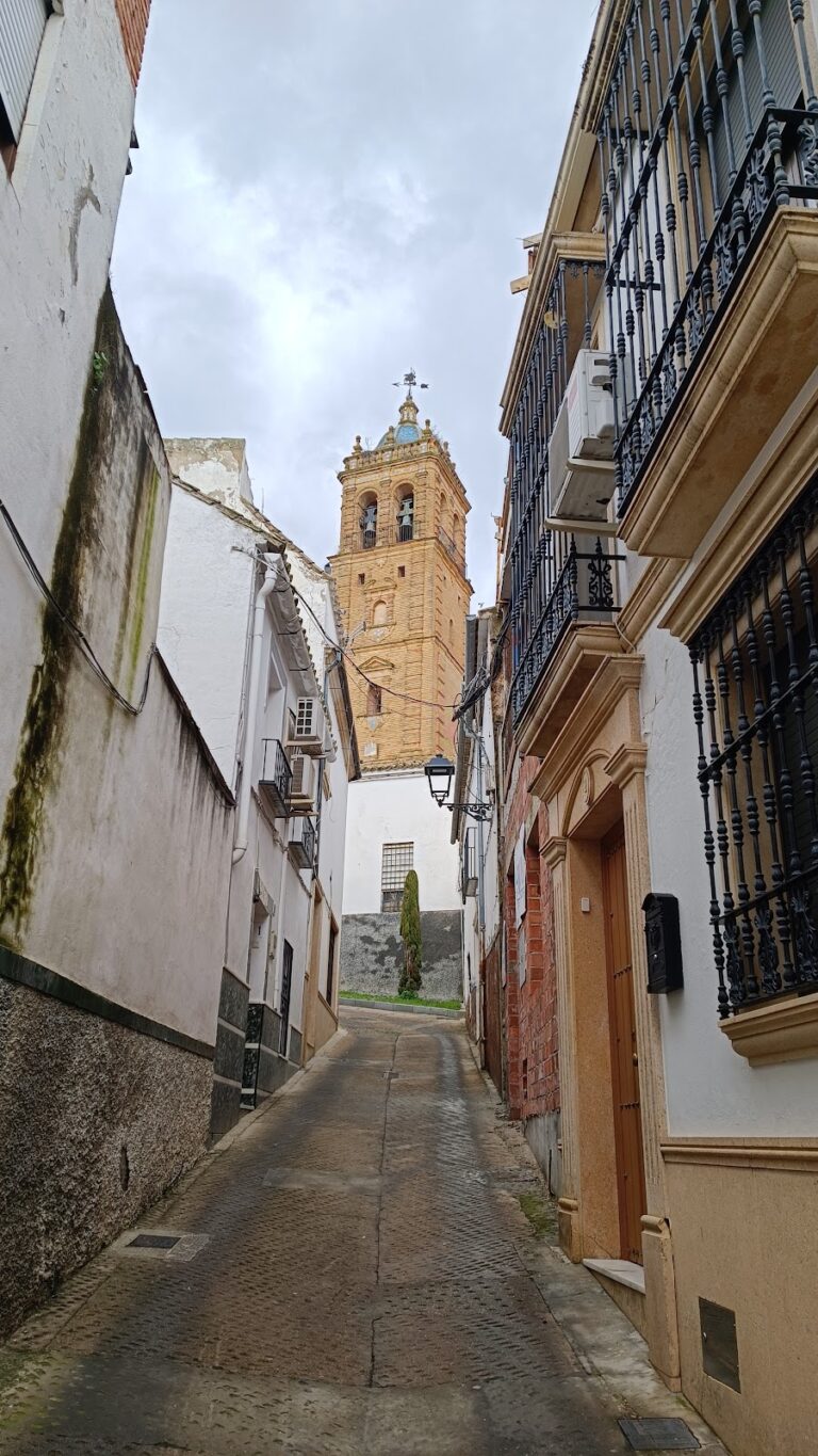 Castle of Montilla: Medieval Fortress and Lordship Residence