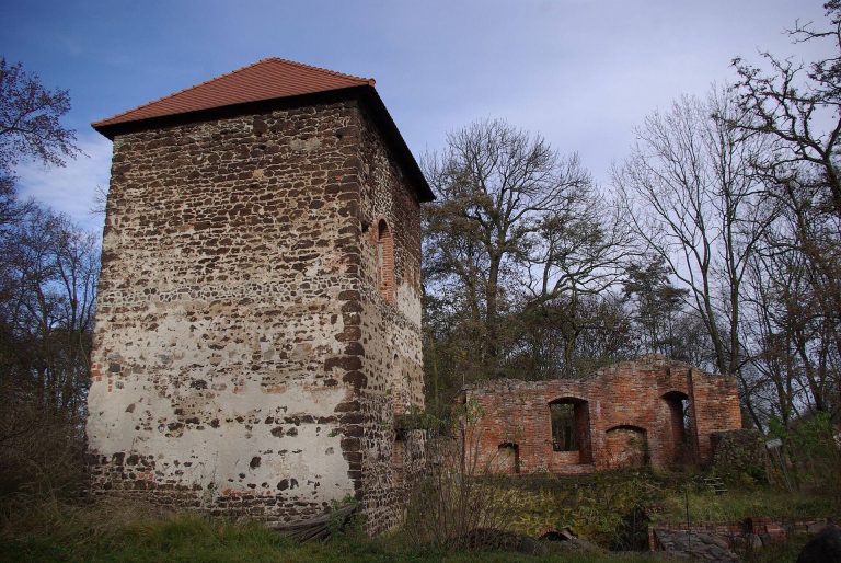 Burg Bärwalde: A Gothic Water Castle Ruin in Germany