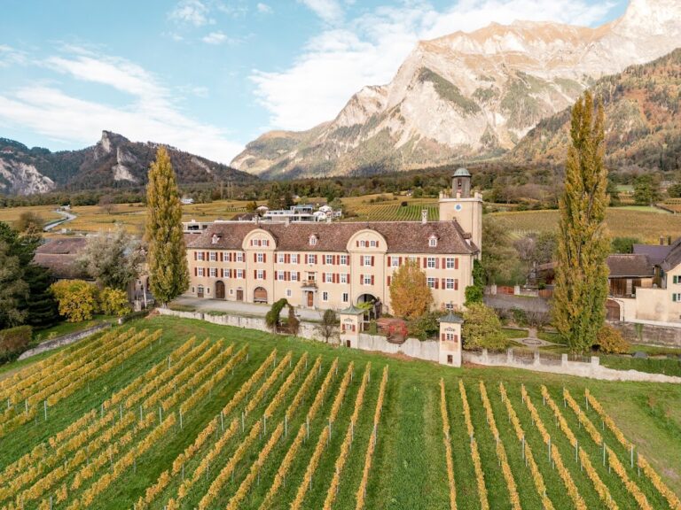 Salenegg Castle: A Castle-Like Manor House in Switzerland